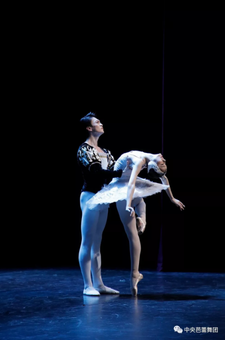 说明: 说明: http://39.96.12.65:82/_img/ballet/2019/08/19/20190819113457130001.png