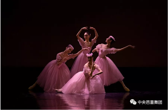 说明: 说明: http://39.96.12.65:82/_img/ballet/2019/08/17/20190817133929562001.png